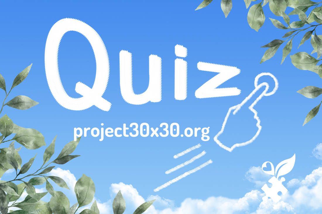 Future Sustainability Quiz