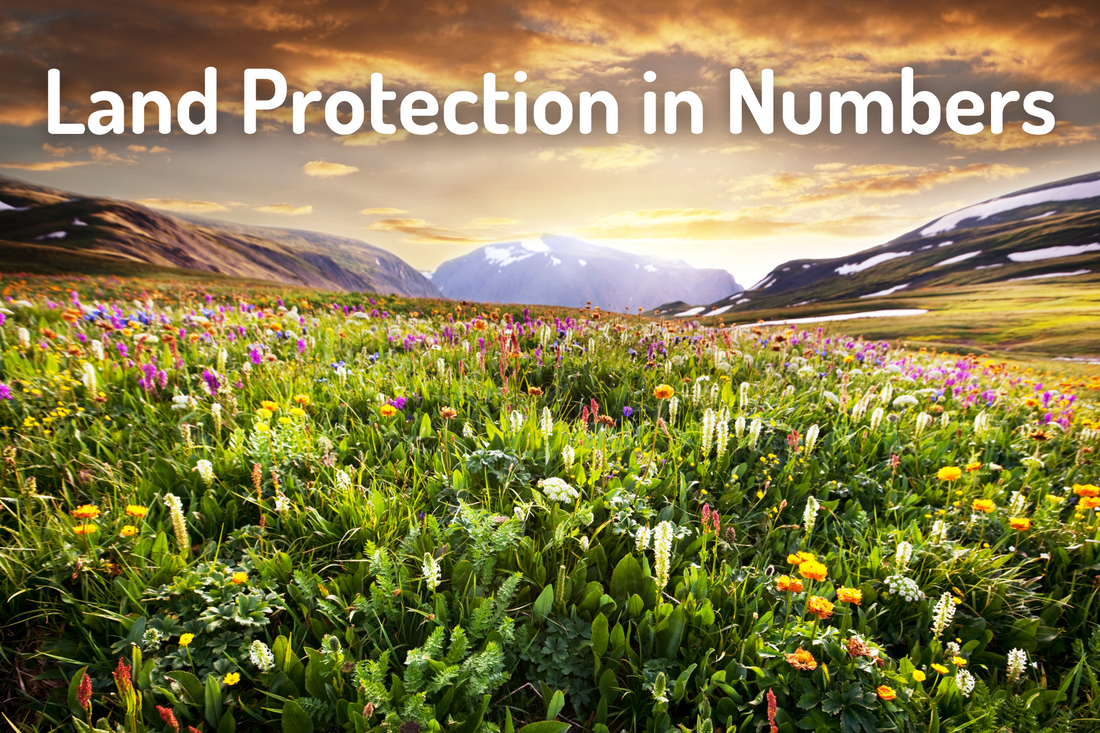 Land Protection in Numbers