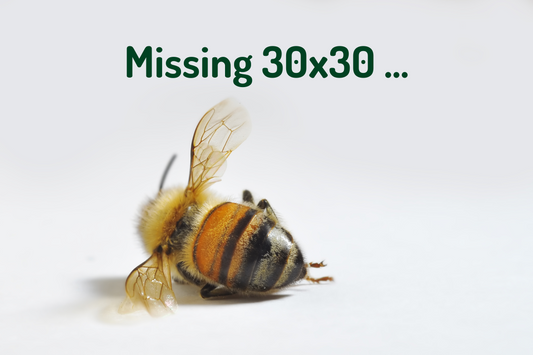 If we miss the 30x30 target ...