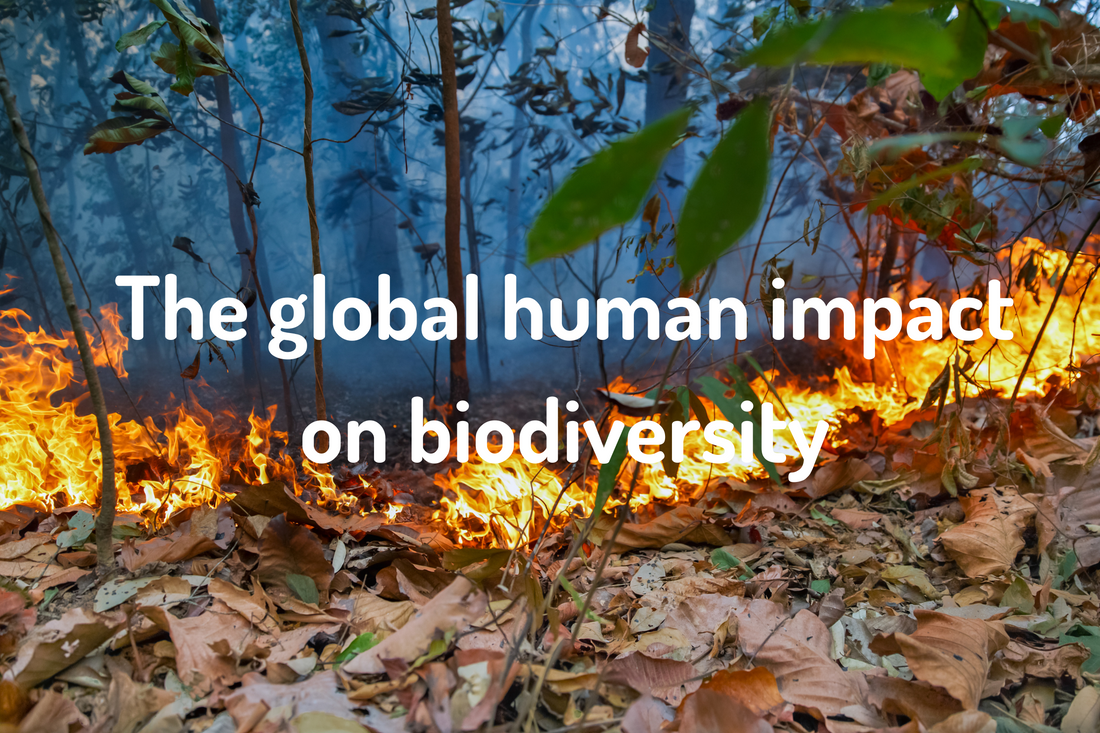 The global human impact on biodiversity