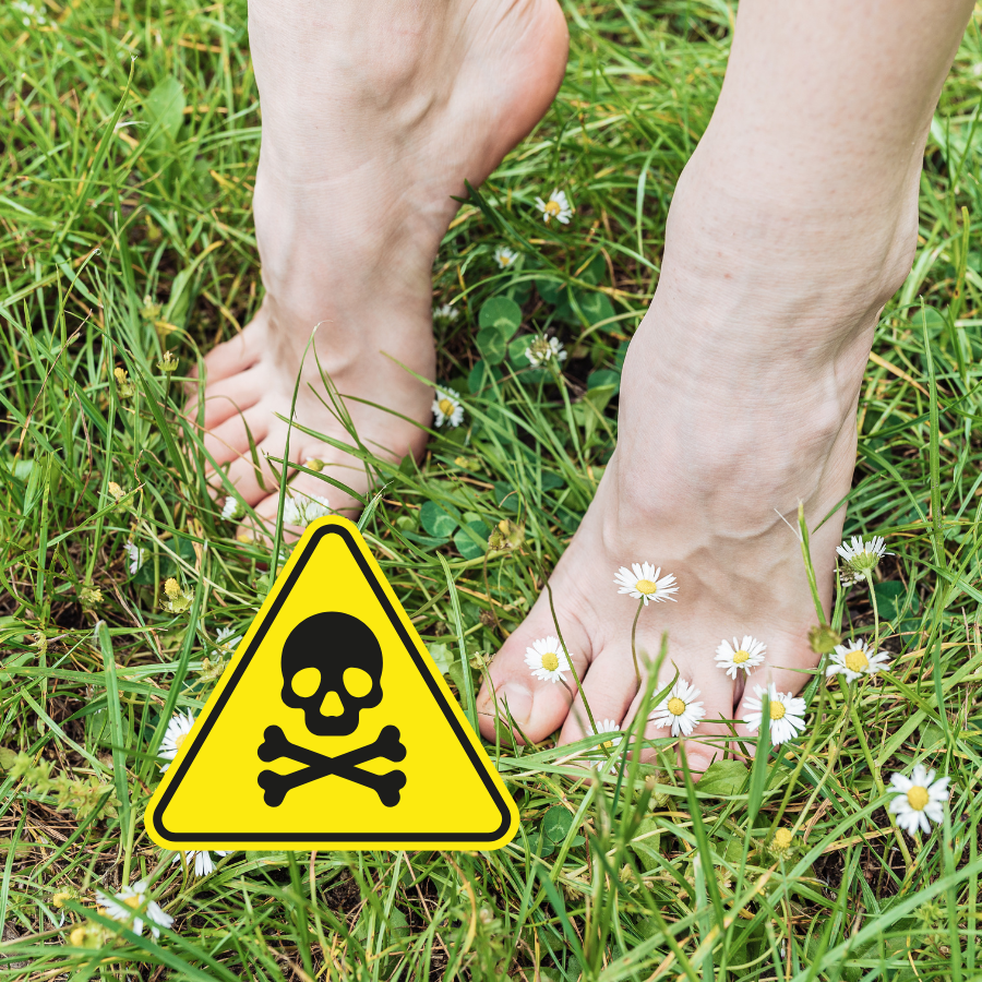 Threats to Park Life