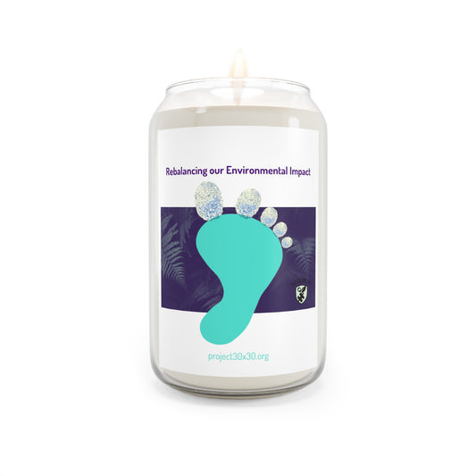 Eco Scented Candle