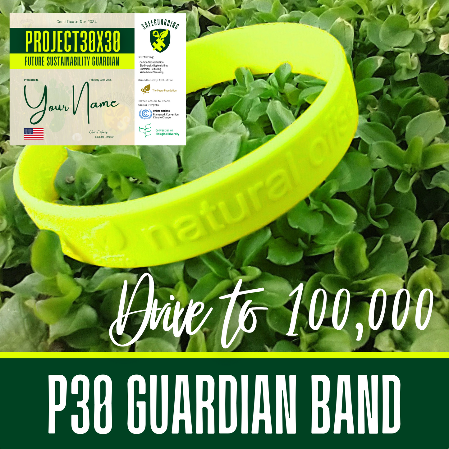 P30 Guardian Band
