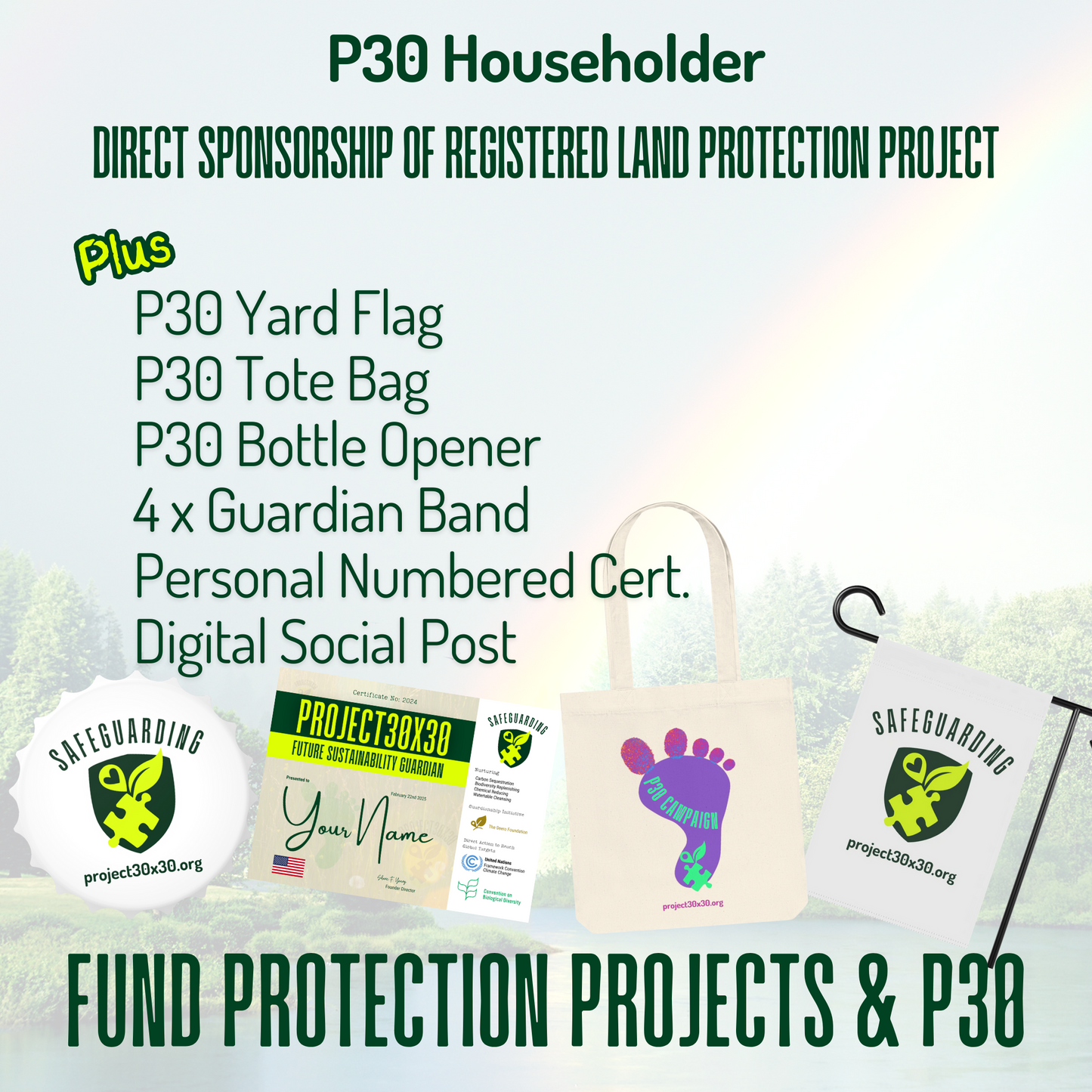 P30 Householder