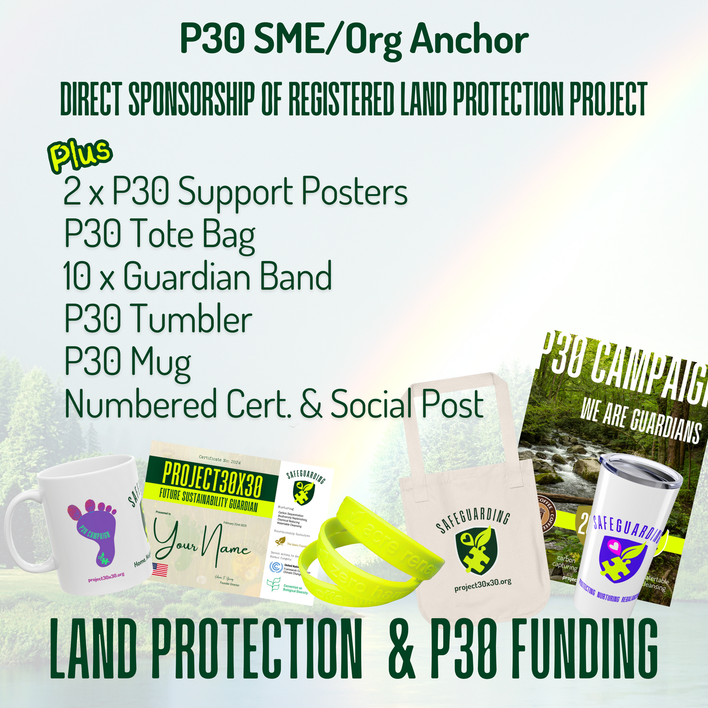 P30 SME/Org Anchor