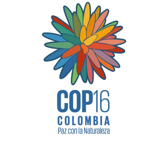 COP16 ... Again but in Rome