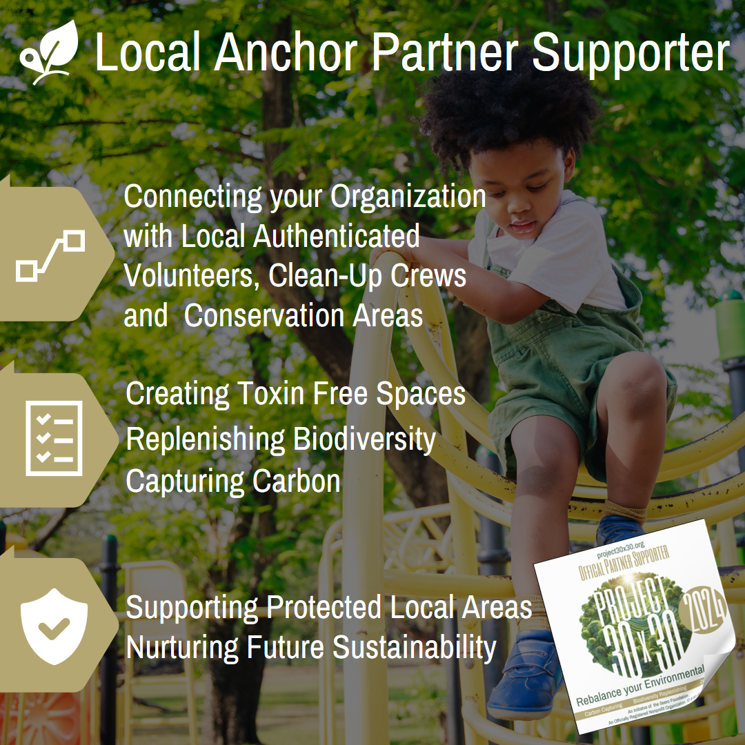 Local Anchor - Sharing Sustainability Experiences