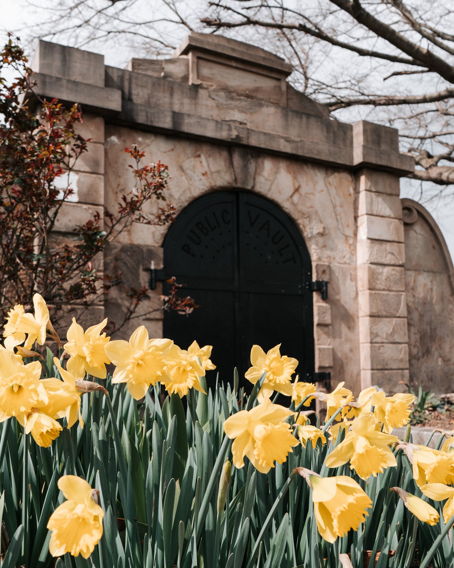 Congressional Cemetery Future Sustainability