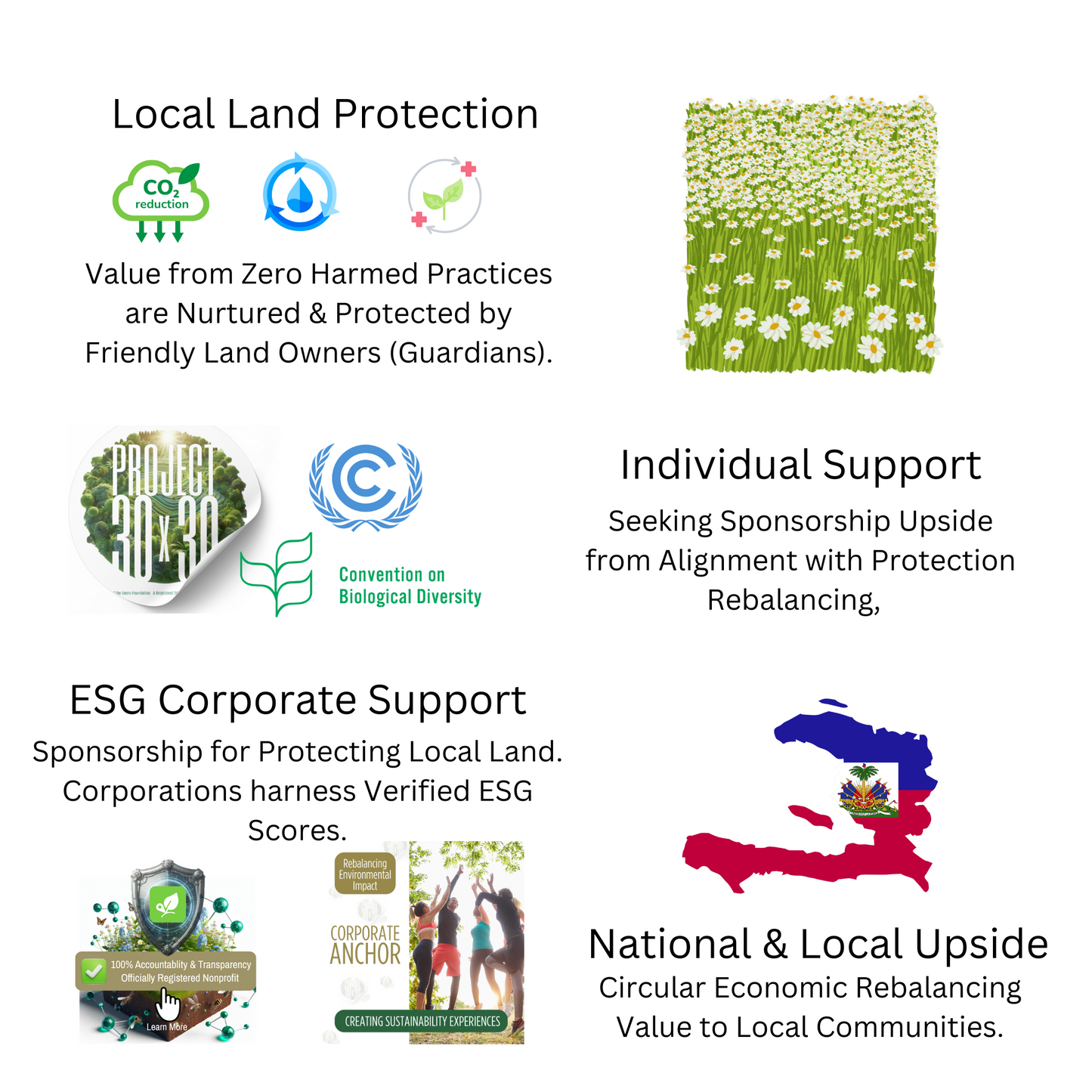 Haiti- Protecting Future Sustainability