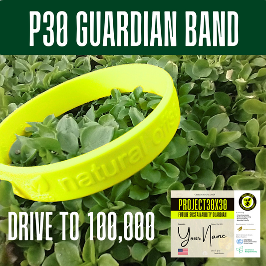 P30 Guardian Band