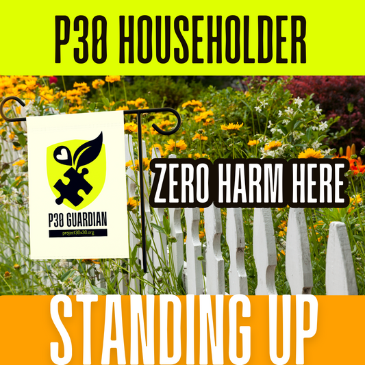 P30 Householder