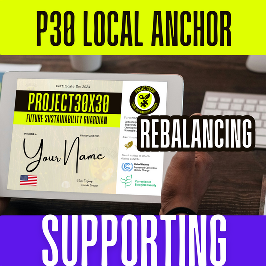 P30 Local Anchor