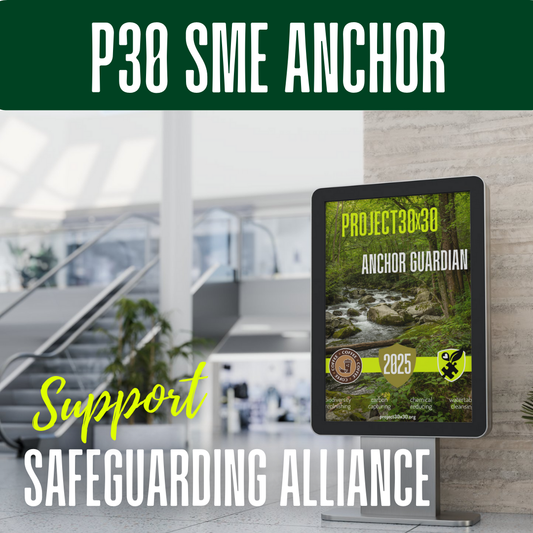 P30 Local Anchor